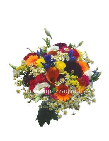 colori assortiti in base alla disponibilita da concordare