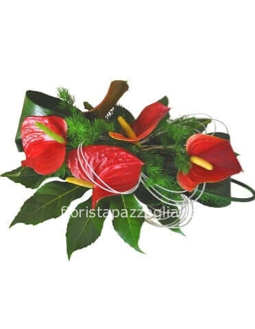 composizione bassa e larga con colore anturium da concordare o disponibile